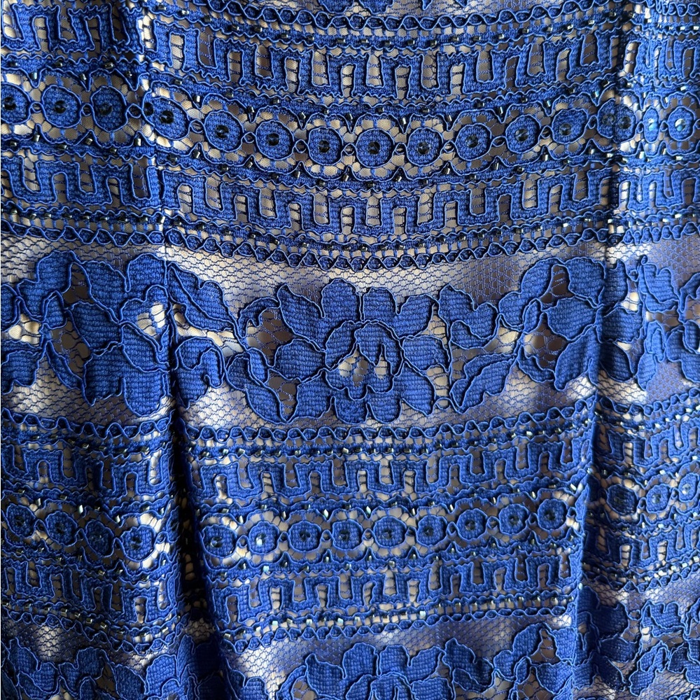 NWOT Adrianna Papell Corded Stripe Lace Sheath Dress in a royal blue 4P - Picture 12 of 13